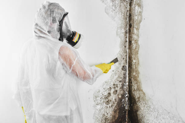 Health and Safety Mold Remediation