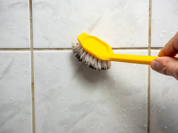 Best DIY Mold Remediation Support Services in Burbank, WA