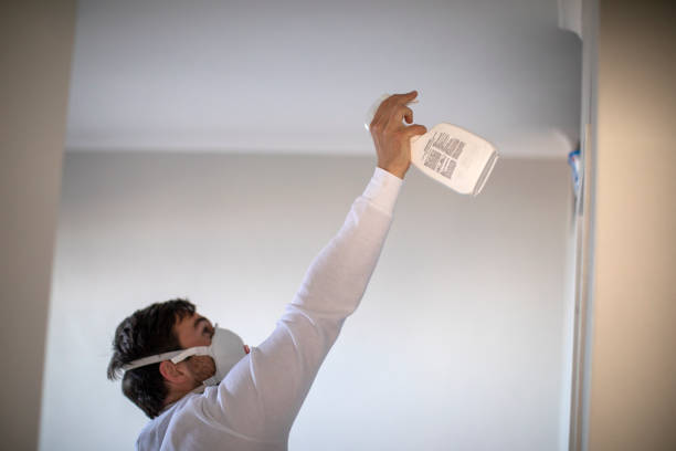 Best Black Mold Remediation in Burbank, WA